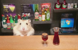 nomellamesfriki:  Un pequeño Hamster vendiendo comida y bebida