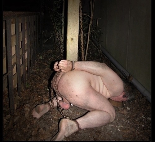 Pig Wife In Bondage BDSM Fetish