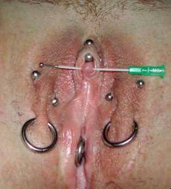 pussymodsgaloreShe has a VCH piercing with a barbell, and four outer labia piercings, two with barbells and two with rings. She also has a needle pierced right through her clit, in the end of which is a fine gauge barbell, ready to be threaded through