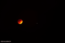 rob-kalmbach:  &ldquo;double dribble&rdquo;  Blood Moon like a basketball in your face.  Photographed on a 5D tonight.  What a site to see! 