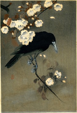 aurumnorthwood:  Crow and Blossom, c.1910 by Ohara Koson (1877 - 1945)