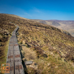 Here&rsquo;s a short break from scheduled Easter posts to bring you some scenery pictures. These photos are from a walk I did around Glendalough, Ireland. The trail starts off in the woods, and gradually leads you upwards through the trees! However, the