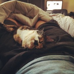 cute-overload:  Boo doesn’t want me to go to work today.http://cute-overload.tumblr.com 