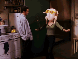 katedfisher:  This is the only Thanksgiving GIF you need, really. 