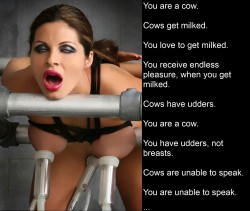 fuuuuuuuck. lola is a cow, cows get milked. lola receives endless pleasure when she gets milked. lola has udders, not breasts. cows are unable to speak. lola&hellip;can&rsquo;t&hellip;speak, nnnghhhhh