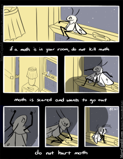 legendofrii:  marycapaldi:  marycapaldi:  Be Kind to Moth A short comic based on this post that’s been going around.  Today is the 3rd year anniversary of “Be Kind to Moth”. If only then I had a glimpse of where I would go from there!  ALWAYS. 