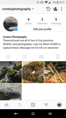 Hey everyone, I wanna get on a serious, yet non sexual for a moment, if you could please go follow my new Instagram. I&rsquo;m a photographer, and I am using that page as a place where I will put my portfolio so I may get my name out there, and hopefully