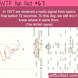 wtf-fun-factss:  The wow signal - 1977 - WTF fun facts
