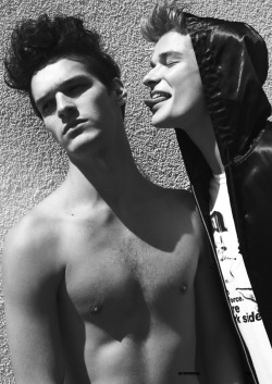 afreeboy:  Miguel Inglese and Tim Harfield for QHWO  