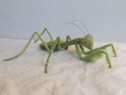 safetea: this praying mantis got me into art school 🍃✨ &lt;3 &lt;3 &lt;3