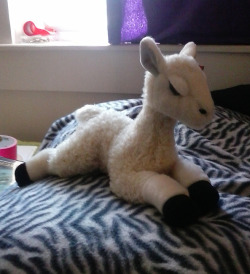Sleepy or annoyed or both; the latter due to the former? Who knows! She is too cute either way ;_; Thanks Boo &lt;3 &hellip; I&rsquo;m gonna have to get my other llamas down now and put them all together&hellip; most of my plushies are in a bag still