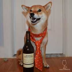 shibasommelier:  2001 Château Monbousquet Having fun with my Vineyard Vines tie! Okay, so this really smells like we’re in Bordeaux! Blackberries, rich ripe cassis, earth, clove, leather, and sanguine/iodine Cabernet Franc notes. Tart on the finish
