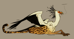 shoomlah:  Liked the result of today’s sketch_dailies enough to post it- she’s a secretary bird/king cheetah gryphon. :) 