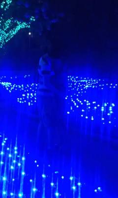 I know it&rsquo;s hard to see, but that&rsquo;s me and my boyfriend right after the fireworks at Busch Garden&rsquo;s Illuminights&hellip; It&rsquo;s one of my favorite memories