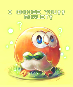 whitmoon:    Have you seen the new gen starter Pokemon yet!?!?  [Here is a Teaser]I fell in love with  A LITTLE CHUBBY OWL POKEMON, HELP ME!!!  I really love when Rowlet turn his head to Trainer aaaaaaaaaa #TeamRowlet   