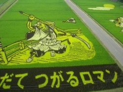 日本の「田んぼアート」がスゴいことになってる！ | roomie（ルーミー）