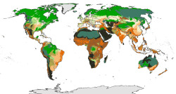 science-junkie:  New World Map for Overcoming Climate Change The map illustrates the global distribution of the climate stability/ecoregional intactness relationship. Ecoregions with both high climate stability and vegetation intactness are dark grey.