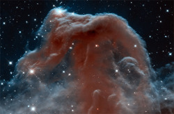 discoverynews:  Hubble at 23: Horsehead Nebula in a New Light  The Hubble Space Telescope has been in orbit for 23 years and, to celebrate this milestone, the space telescope has revisited the famous Horsehead Nebula in the constellation of Orion.  It