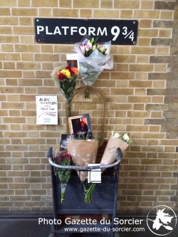 fellowshipofthejedi:   King’s Cross Platform 9¾ transformed into a makeshift memorial for Alan Rickman ❤  