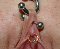 pussymodsgaloreA beautifully pierced pussy. She has a VCH piercing with a barbell, and a HCH piercing with a circular barbell which is being pulled strongly upwards, and actually through her clit she has a gold ring. Many so called clit piercings are