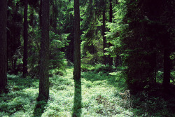 danielodowd:  untitled by conversations about on Flickr.