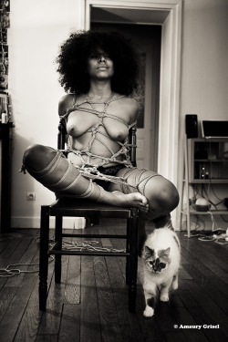 putmeinherplace:  marquisjspalmofpain:  amaury-grisel-shibari:  Makeda and her cat  Shibari &amp; photo : Amaury Grisel  Repost for putmeinherplace   Thanks Marquis! So, that makes 4 bondage-with-cat pictures. Keep them coming.