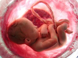 futurismnews: Scientists Just Completed the First Uterus Transplant in the US    A uterus transplant was just completed in the U.S. for the first time. http://futurism.com/scientists-just-completed-first-uterus-transplant-us/  