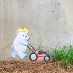 Ice Bear&rsquo;s lawn mowing service is off to a good start 