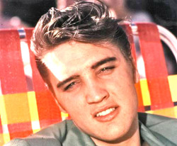 50s-60s-gal:  Elvis  Photographed in the 50s 