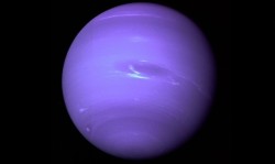 walkfasterr:  gaybabyrollins:  vuov:  Neptune taken by NASA  who THE FUCK let NASA take Neptune   ^^ lol