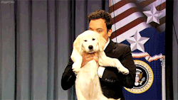 latenightjimmy:  Just in case your Monday needed this, here’s Jimmy and a puppy.