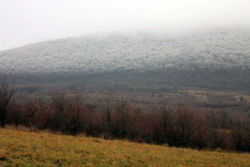sixpenceee:  Rapidly sinking temperatures in Hungary caused a fog to freeze on top of a hill. This was the result. It looks like a real life Frozen. (Source) 