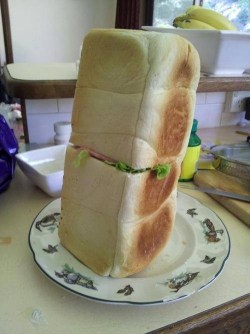 I forgot how to make a sandwich, so I improvised