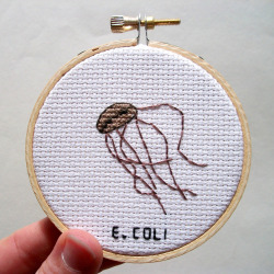 nevver:  Cross-stitched Microbes