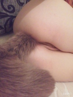 little-miss-foxxy:Im absolutely in love with this tail!!