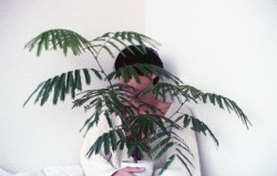 alext:tomoya and my plant