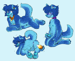 some more lapis werewoofs[open for commissions]