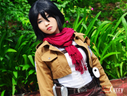 rule34andstuff:  Fictional characters that I would “wreck”(provided they were non-fictional): Mikasa Ackerman(Attack on Titan).