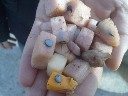 p41g3r4nk1n:  wespeakfortheearth:  macalien:  causticgrip:  listenforthesteel:  Some assholes have been putting nails in cheese and treats in dog parks in Chicago and Massachusetts. Also adding antifreeze to water bowls.  Please watch out for your dogs.