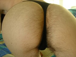 blogtomsa:  love that hairy ass 