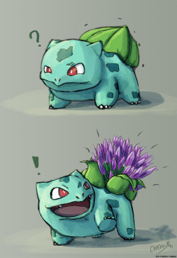 jjax808:  nicknamenyquil:  butt-berry:  butt-berry:  butt-berry:  butt-berry:  butt-berry:  It’s Bulbasaur blooming season   Lots of variety this year!   A late bloomer!   Water-lily Bulbasaur catching up on the latest gossip at the lake   Wow, looks