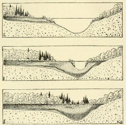 nemfrog:  A lake fills up with peat deposits and a plant community movies in. Principles of animal biology. 1946.Internet Archive
