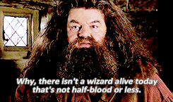 an-arch-wherethrough:  second-breakfast:  can y’all shut the fuck up about snape when we had LITERALLY THE SWEETEST MAN EVER  Can we talk about how Hagrid is a half-giant and basically the only of his kind at Hogwarts? How his birth was revealed without