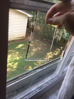 So&hellip; I just broke my window&hellip;&hellip;. My parents are gonna kill me my parents are gonna kill me lol&hellip;(There was a bug in my window and went to smash it&hellip;&hellip;&hellip; broken the window. Idndkdmdodkdkd fuck) Update: y’all