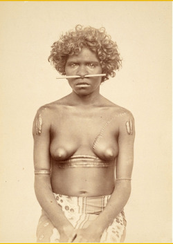 matrixbotanica:  Indigenous Australian Lady 1900 