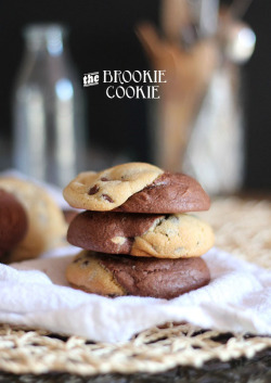 cylinsanity:  pep-o-mint:  spine-is2spoopy:  vvidget:  THE BEST COOKIE RECIPES :D The Brownie Cookie Recipe Chocolate Chunk Cookies Crème Brûlée Cookies Butterscotch Apple Pudding Cookies Deep Dish S’mores Cookies Buckeye Brownie Cookies Caramel