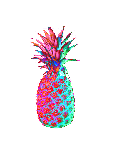 transparent pineapple | Tumblr