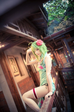 Vocaloid - Gumi (Anly Zhang)