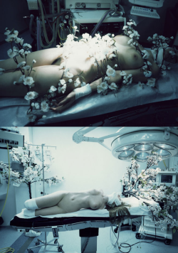  Flowers of Sickness, by Marcel Van Der Vlught From the series “A New Day” these images depict the “flowers of illness”, featuring nude women in hospital regalia entwined in flowers to represent fragility and trauma 
