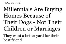 drinking-tea-at-midnight:  bienenkiste: and i'm proud of y'all I thought you said we weren’t buying houses because of avocado toast.  make up your mind journalists.  (Tie avocado toast to a dog and place near a house to create a perpetual motion machine,
